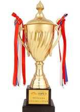 La fábrica profesional directa de BSCI hace el trofeo de la taza del metal del cliente